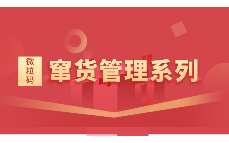 微粒暗碼服裝視頻演示