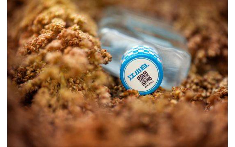 市場上基本的防竄防偽技術(shù)，你一定要知道！