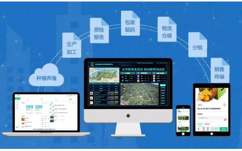 水果網(wǎng)紅避雷指南，“橙”心“橙”意做溯源